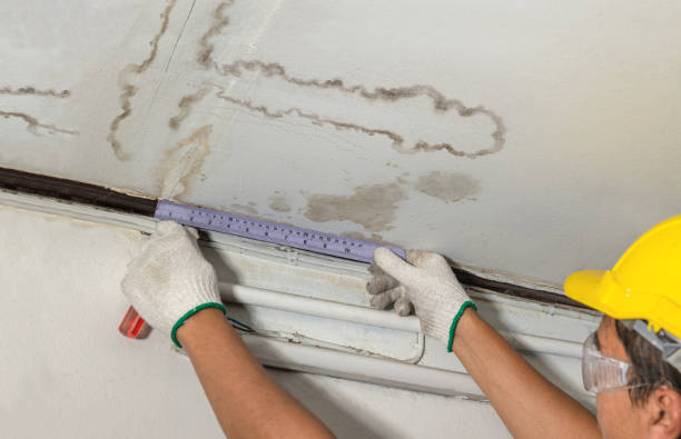 Reliable Mold Remediation contractor in Winchester, MA by Water Damage Irwin